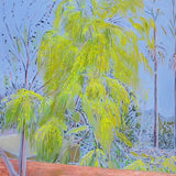 Acacia Blossoms 2020