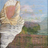 Conch shell 2022