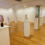 New Vessels
