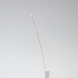 Tall thin bend  2025