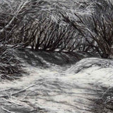 Up in the dunes I  2025