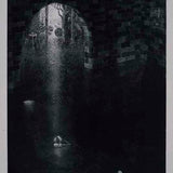 Desert Tides, Forest Islands (state II) 2022