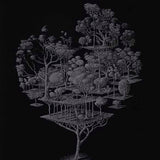 Growing in the Light 1 2022