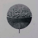 Tree Sphere 1 (state II) 2022