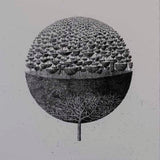 Tree Sphere 2 (state II) 2022