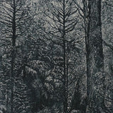 Log forest 1 - Florentine, Tasmania 2010