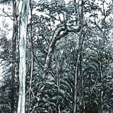 Log forest 2 - Coolangubra, NSW 2009