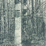 Log forest 5 - Tantawangalo, NSW 2010