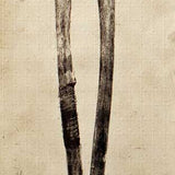 Paired: axes of evil 2007