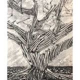 Axe Amnesty Series – Fig Dreaming 2017