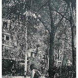 Parked Life – Bev under a tree, Seville Park, March 2020 2021