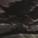 Nightfall 2002