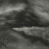 Fog series 3 1998