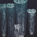 The plague 2007