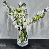 Canterbury Bells  2025