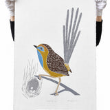 Southern emu-wren 2019