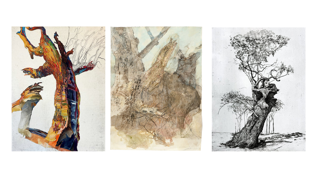 Riverine - Three old etchers and the ancient trees of the Wimmera