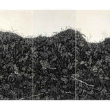 Lark rise hedgerow 2019