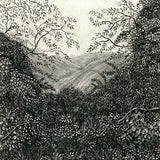 The view from Grandma's 2020