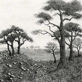 Edge of the woods 2020