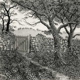 Through the garden gate 2020