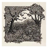 Window in the woods 2020
