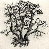 The grekin tree 2022