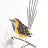 Southern emu-wren 2019