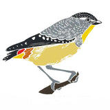 Pardalote with spots 2021