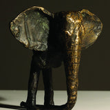 Elephant obscurer 2007