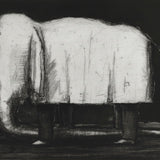 The great white 2007