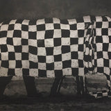 Elephant gingham 1994