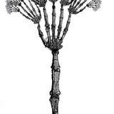 The articulations 2020