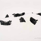 Cows in the grass I 1984