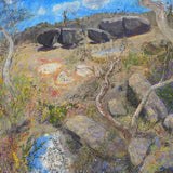 Study for rocks Girraween 2010