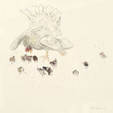 Hen with chickens 1981