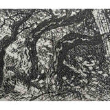 Creation Landscape - The Ancient Trees 1998