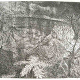 Sunlight and rain 1999