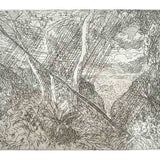Springbrook 1 2000