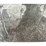 SP2 (Springbrook) 2000
