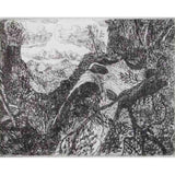 SP5 (Springbrook) 2000