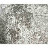SP7 (Springbrook) 2000