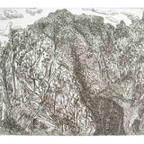 SP8 (Springbrook) 2000