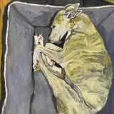 Pepper sleeping on grey bed 2023