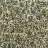 Mulga Trees 2007