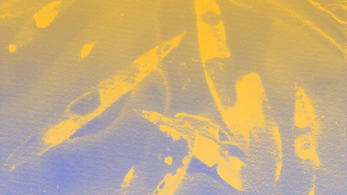 Summer Salon - 28 Derby St