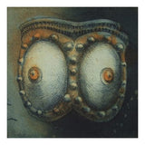 Remarkable fragments (489) 1994