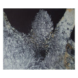 Ta Prohm. Tree and entrance (556) 1999