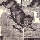 The cats cradle 2004