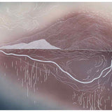 Meagher’s plot  2025